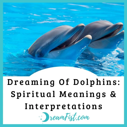 3. Dolphin Dreams And Their Interpretations