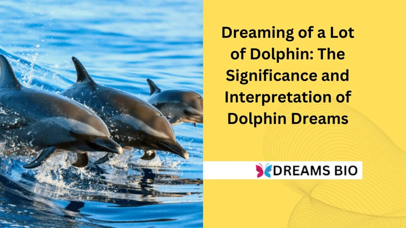 4. Symbolic Interpretations Of Dolphin Dreams