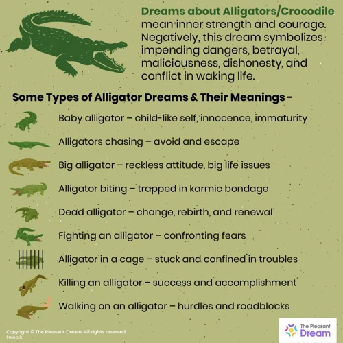 Alligator Symbolism And Mythology