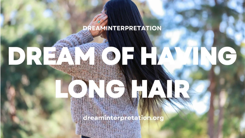 An Overview Of Hair In Dreams