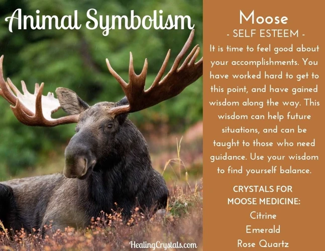 An Overview Of Moose Symbolism