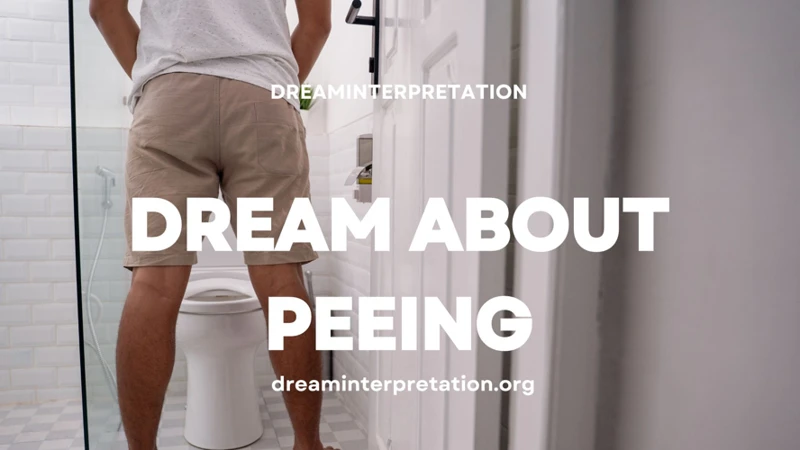 Analyzing Dreams About Peeing