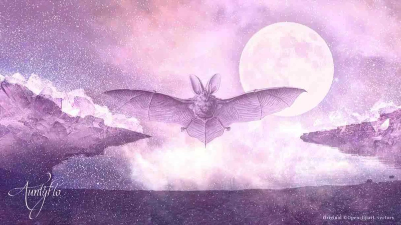 Bat Attacks: Symbolic Interpretation