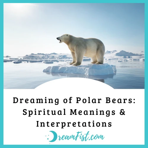 Common Dream Scenarios With Polar Bears