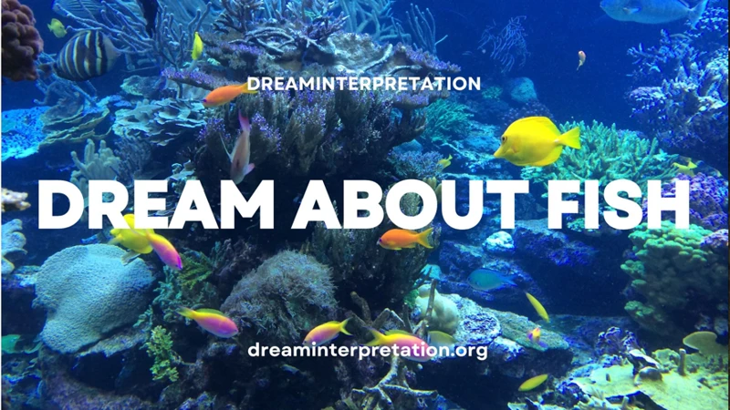 Common Fish-Related Dreams And Their Interpretations