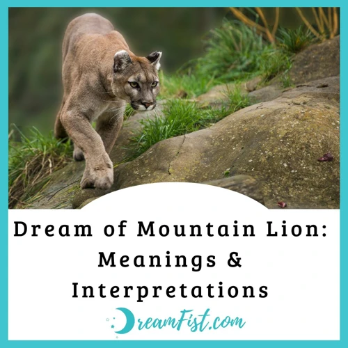 Common Interpretations Of Dreaming About Mountain Lion