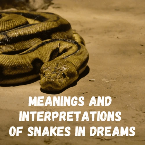 Common Interpretations Of Dreams About Catching A Snake