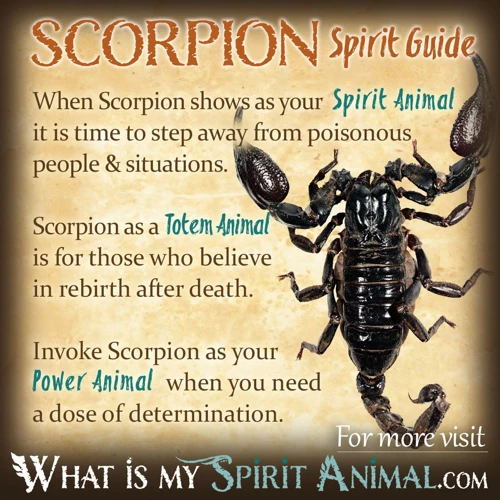 Common Interpretations Of Dreams About Scorpion Bites