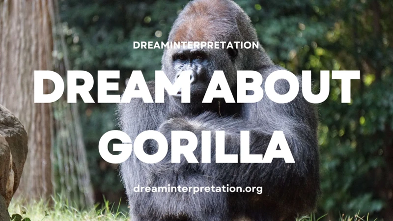 Common Meanings Of A Gorilla Chasing Me In Dreams