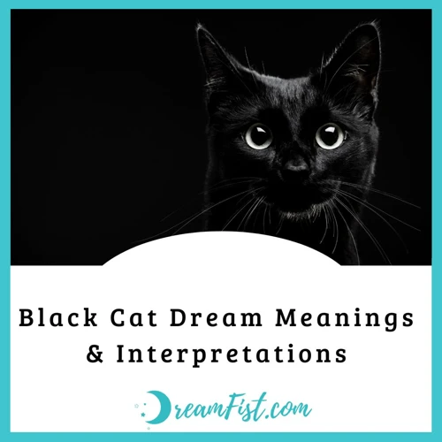 Common Scenarios Of Dreaming About Black Cats