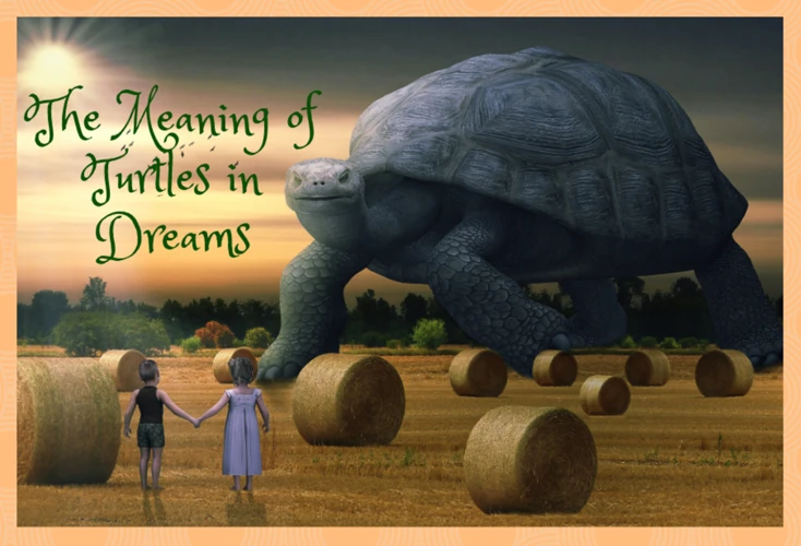 Common Turtle Dream Scenarios And Meanings