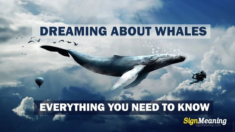 Common Whale Dream Scenarios And Their Meanings