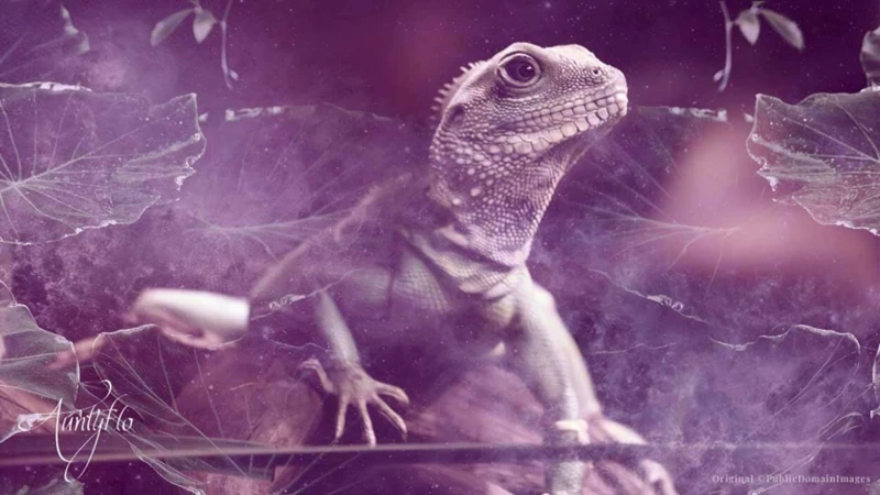 Connecting Lizard Symbolism To Your Waking Life