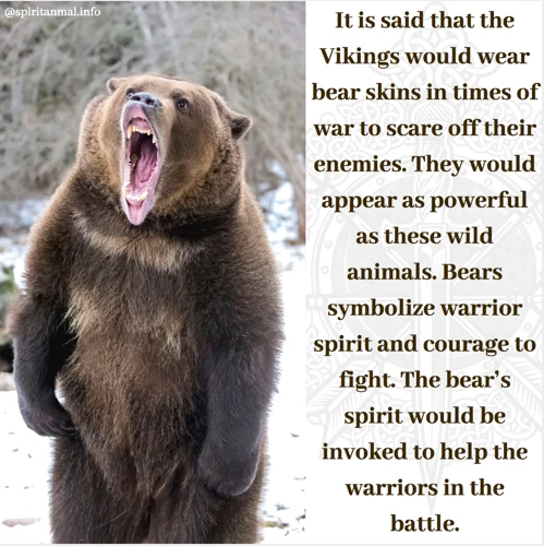 Connecting With The Bear Spirit Animal