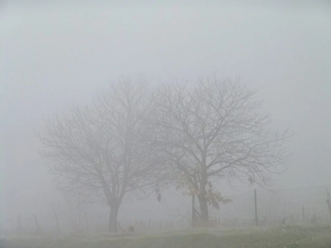 Dream Symbolism: Insights Into The Meaning Of Fog