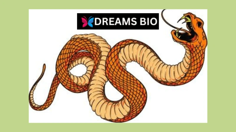 Dreaming About Dead Snakes: Analysis