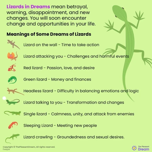 Dreaming About Lizards: Symbolism And Interpretations