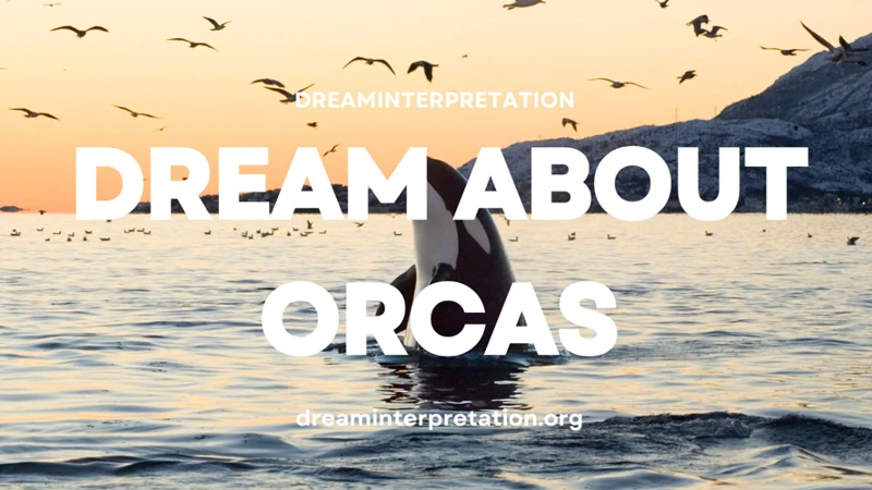 Dreaming About Orcas: What Does It Mean?