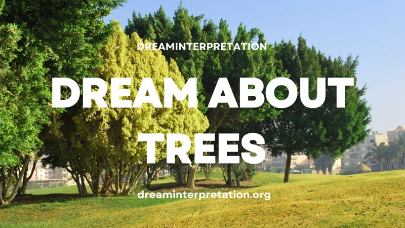 Exploring The Symbolism Of Trees In Dreams