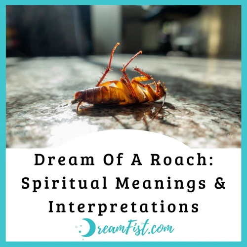 How To Interpret Dreams About Roaches Everywhere