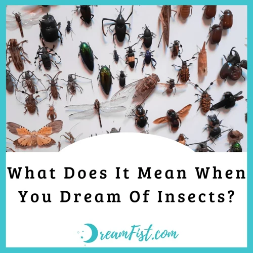 Interpretation Of Dream About Bugs Everywhere