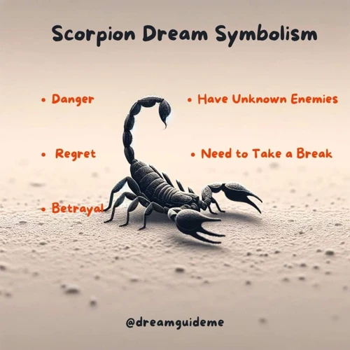 Interpreting A Scorpion In The House Dream