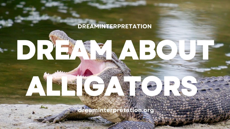 Interpreting Alligator Dreams