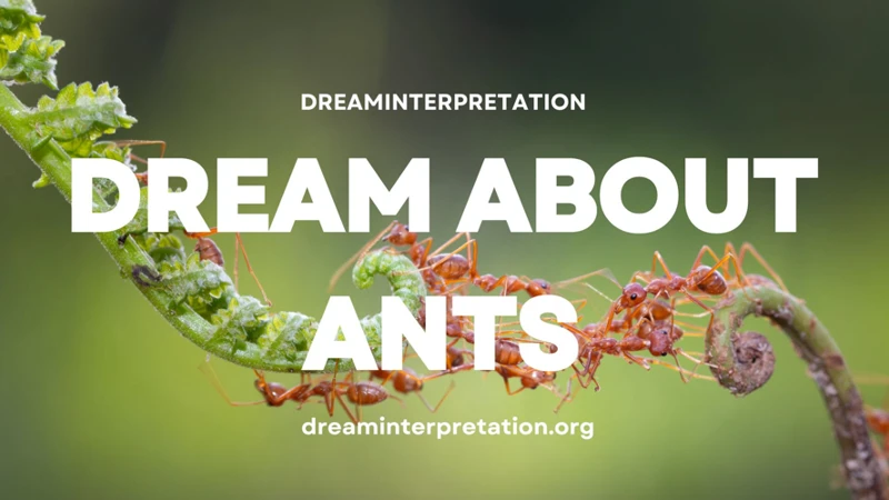 Interpreting Ant Bites In Dreams