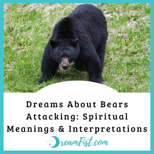 Interpreting Bear Attacks In Dreams