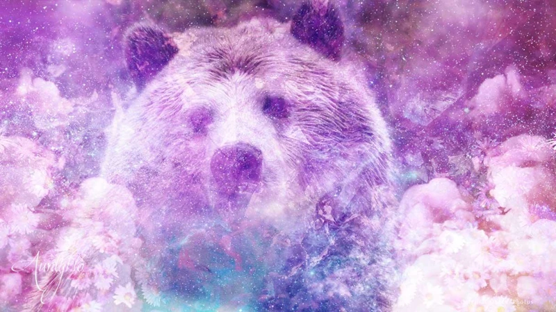 Interpreting Bear Dream Colors And Actions
