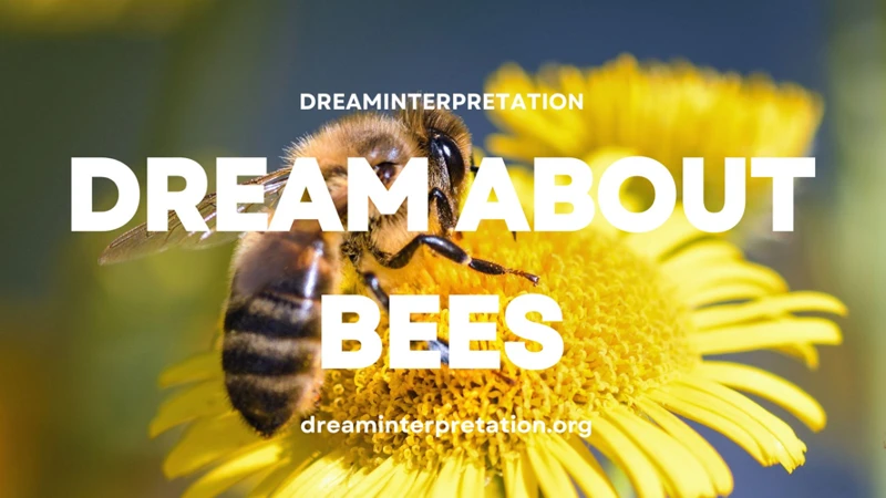 Interpreting Bees Attacking You In Dreams