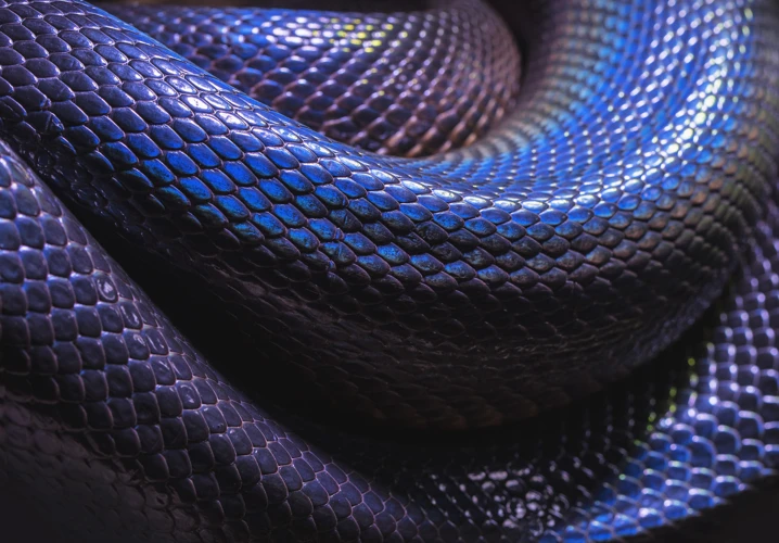 Interpreting Blue Snakes In Dreams