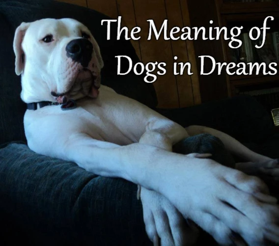 Interpreting Canine Dreams