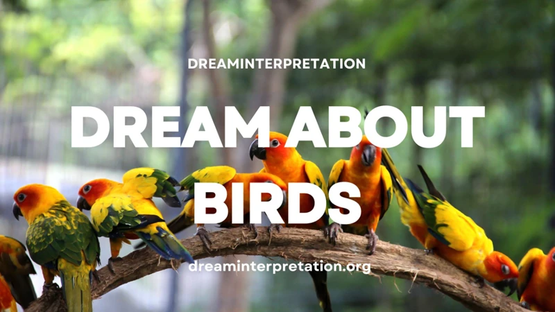 Interpreting Common Bird Dreams