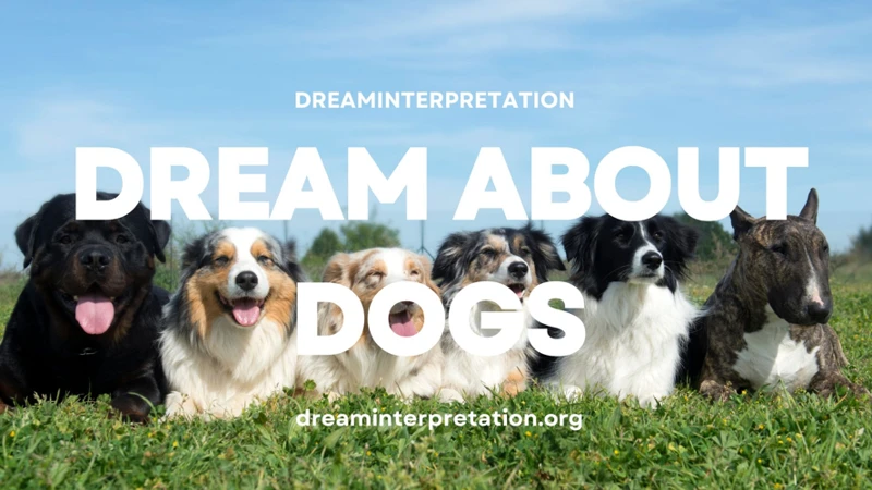 Interpreting Common Dog Dream Behaviors