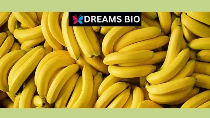 Interpreting Dreams About Bananas