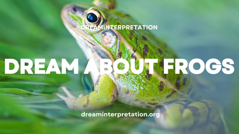 Interpreting Dreams About Frogs