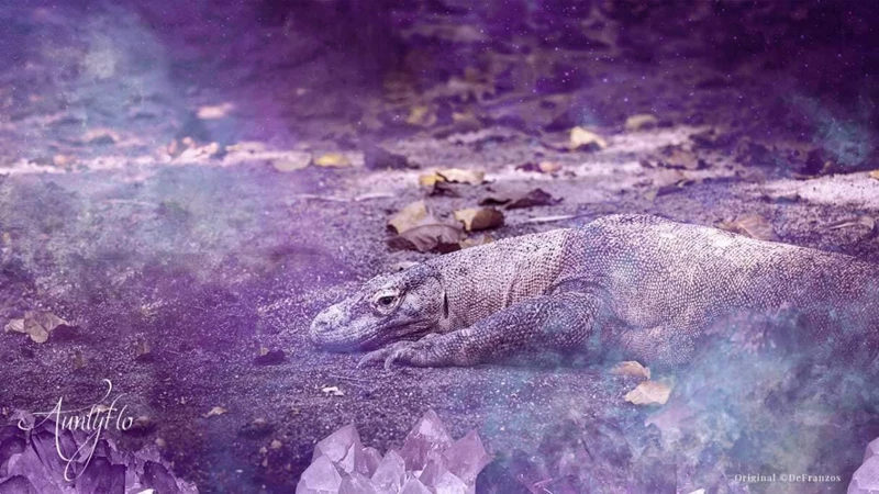 Interpreting Dreams About Komodo Dragons