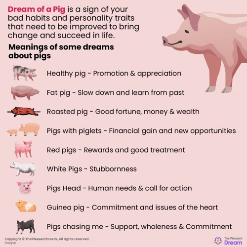 Interpreting Dreams About Pigs