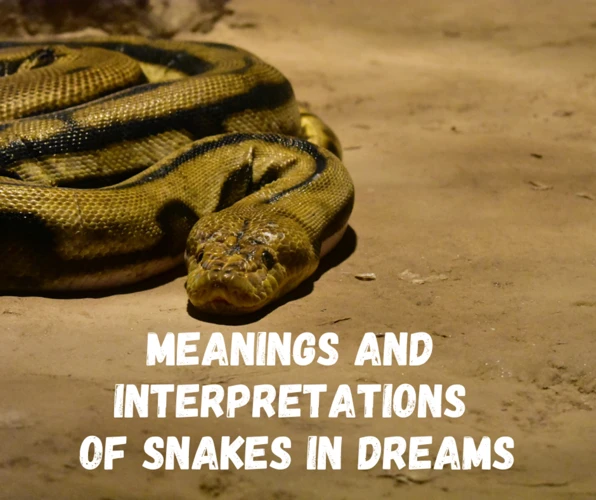 Interpreting Dreams About Python Snakes