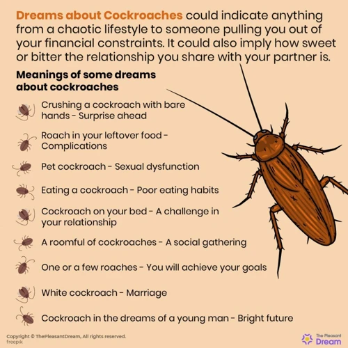 Interpreting Dreams About Roaches