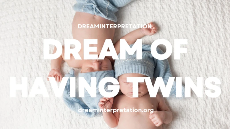 Interpreting Dreams About Twins