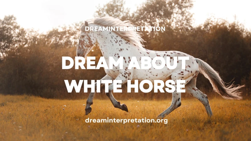 Interpreting Dreams Of A White Horse