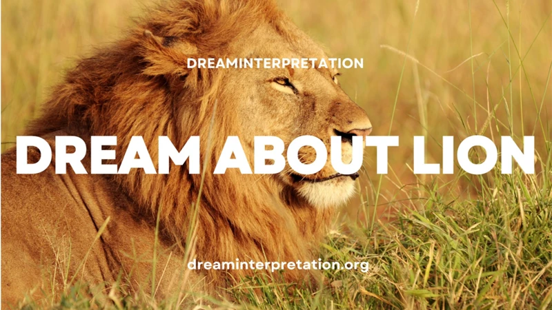 Interpreting Lions In Dreams