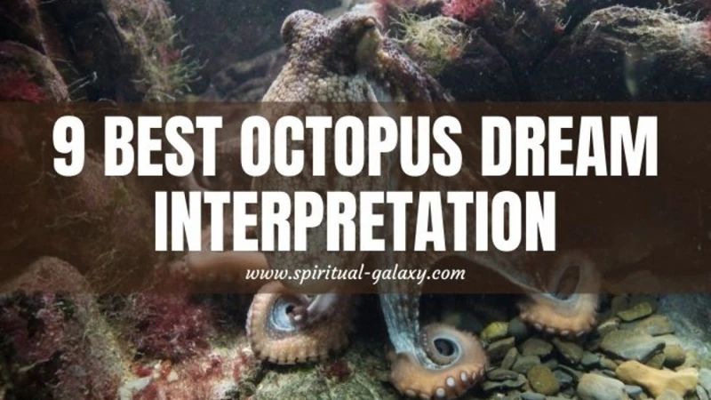 Interpreting Octopus Dreams: Key Considerations