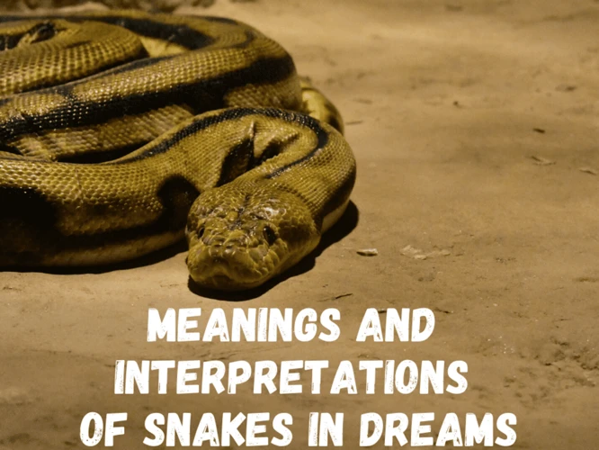 Interpreting Snake Infestation Dreams