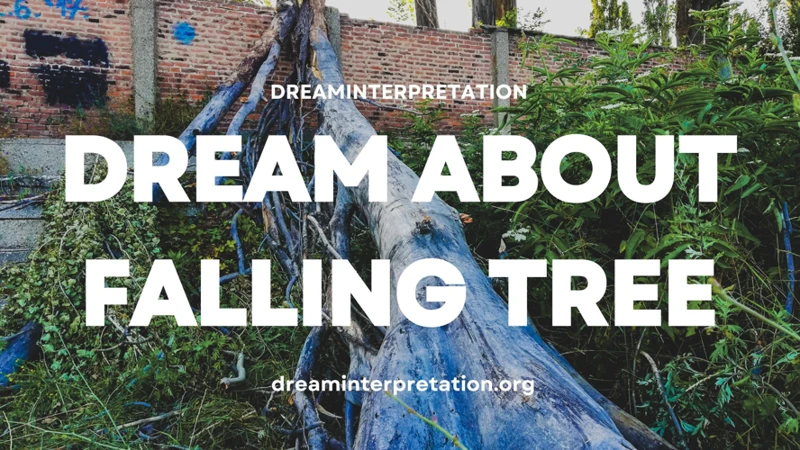 Interpreting The Symbolism Of A Tree Falling In A Dream