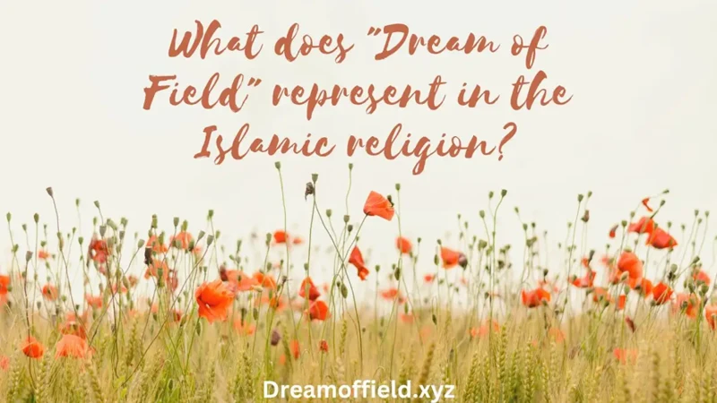 Islamic Beliefs On Dreams Dreams And Spirituality33.webp