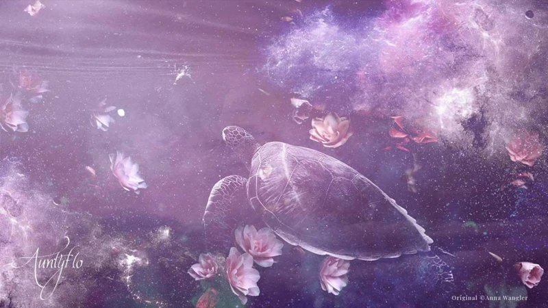 Other Symbols And Elements In Turtle Dreams