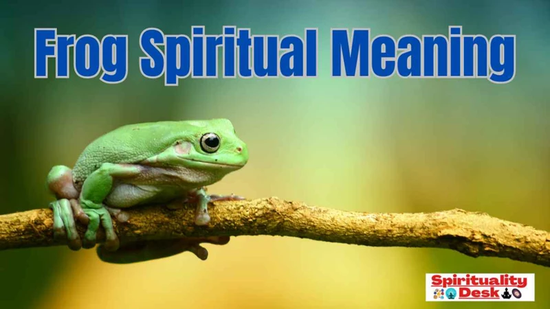 Spiritual Meanings Of Frog Dreams